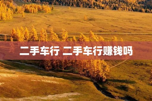 二手车行 二手车行赚钱吗 二手车行 二手车行赚钱吗