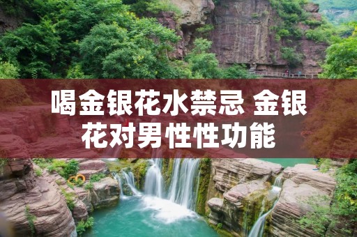 喝金银花水禁忌 金银花对男性性功能