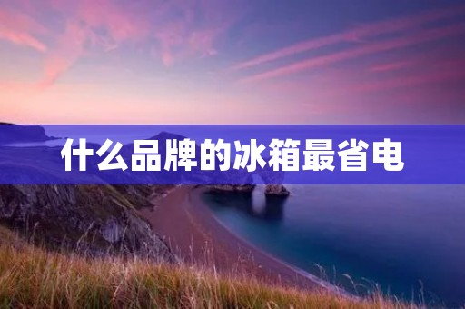 什么品牌的冰箱最省电 什么品牌的冰箱最省电