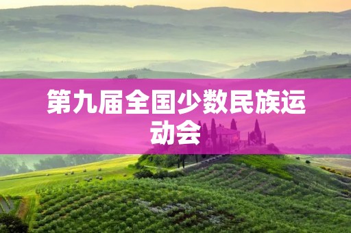 第九届全国少数民族运动会：多元文化的盛会