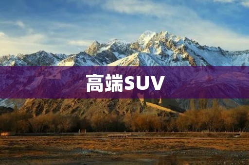 高端SUV：奢华与实用的完美结合