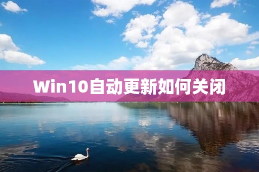 Win10自动更新如何关闭：详细指南