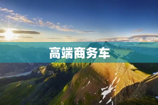 高端商务车：奢华与实用的完美结合