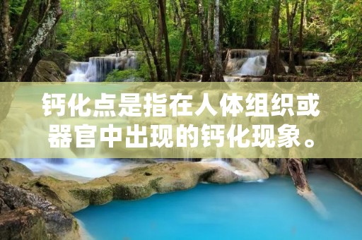 钙化点是指在人体组织或器官中出现的钙化现象。钙化是指钙离子沉积在组织或细胞内形成固态钙盐的过程,而钙化点则是指这些钙盐沉积的具体位置或区域。钙化点在医学领域中具有重要的临床意义,可以作为疾病的诊断指标之一。