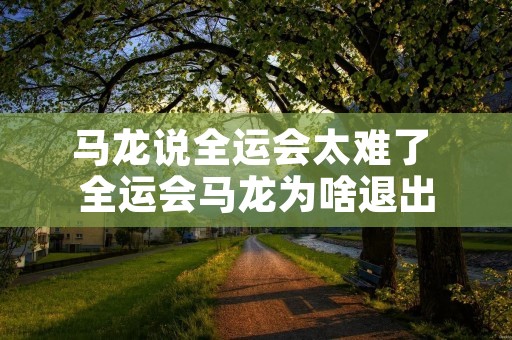 马龙说全运会太难了 全运会马龙为啥退出