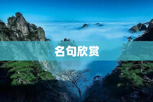 名句欣赏:探寻人生智慧的美丽瑰宝