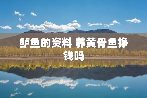 鲈鱼的资料 养黄骨鱼挣钱吗