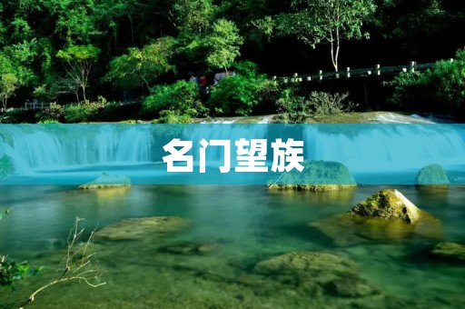 名门望族:传承与荣耀