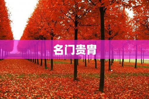 名门贵胄:荣耀与责任的双重负担
