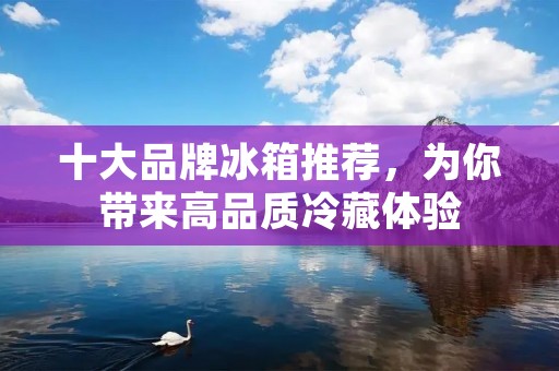 十大品牌冰箱推荐,为你带来高品质冷藏体验 十大品牌冰箱推荐,为你带来高品质冷藏体验