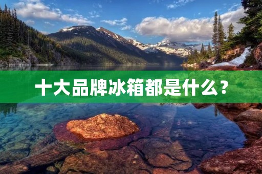 十大品牌冰箱都是什么？
