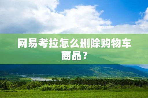 网易考拉怎么删除购物车商品？