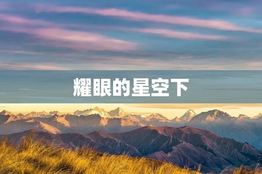 耀眼的星空下:名人故事中的辉煌岁月