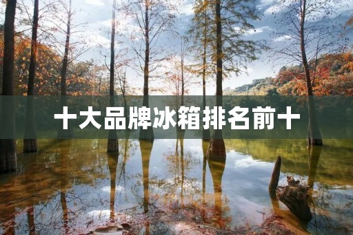十大品牌冰箱排名前十：质量与创新并重，满足不同需求