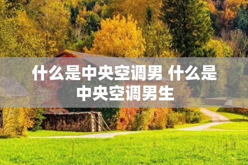 什么是中央空调男 什么是中央空调男生 什么是中央空调男 什么是中央空调男生