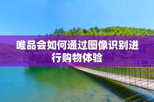 唯品会如何通过图像识别进行购物体验