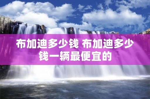 布加迪多少钱 布加迪多少钱一辆最便宜的