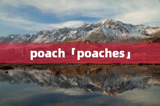 poach「poaches」