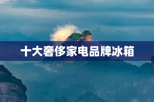 十大奢侈家电品牌冰箱：豪华生活的必备之选