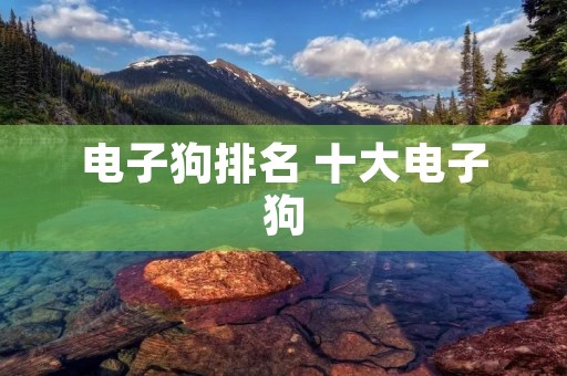 电子狗排名 十大电子狗