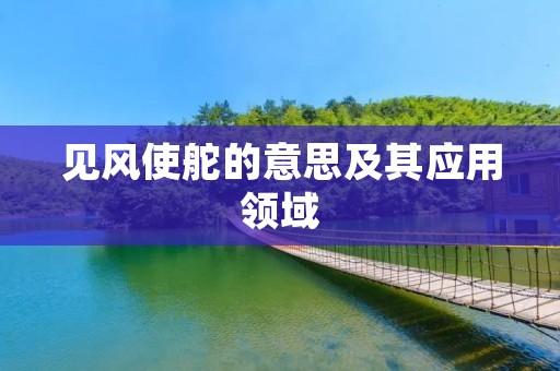 见风使舵的意思及其应用领域