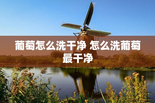 葡萄怎么洗干净 怎么洗葡萄最干净