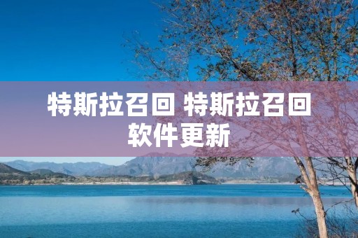 特斯拉召回 特斯拉召回软件更新