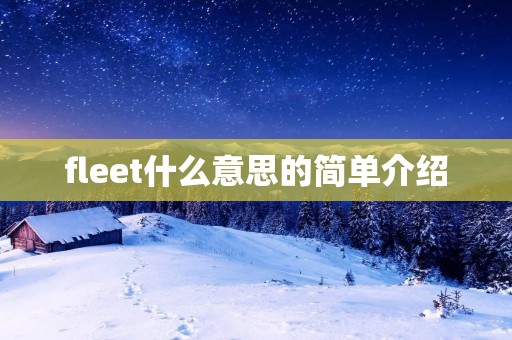 fleet什么意思的简单介绍