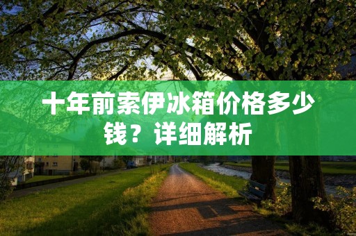 十年前索伊冰箱价格多少钱？详细解析