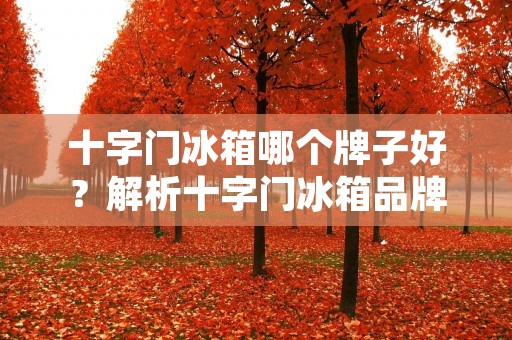 十字门冰箱哪个牌子好？解析十字门冰箱品牌优劣