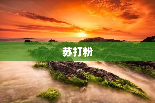 苏打粉:了解它的用途和特性