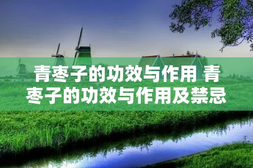 青枣子的功效与作用 青枣子的功效与作用及禁忌