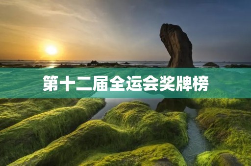 第十二届全运会奖牌榜:中国体育新辉煌 第十二届全运会奖牌榜:中国体育新辉煌
