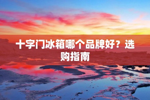十字门冰箱哪个品牌好？选购指南