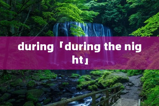 during「during the night」