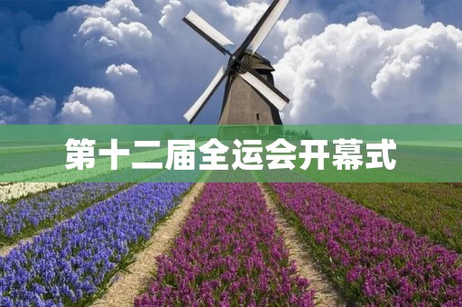 第十二届全运会开幕式：**燃烧的体育盛宴
