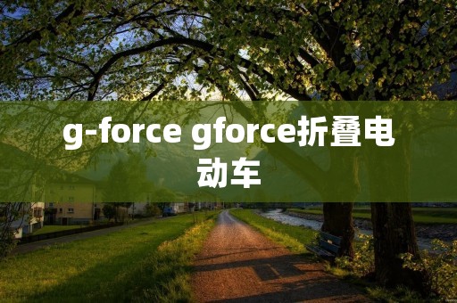 g-force gforce折叠电动车