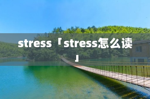stress「stress怎么读」
