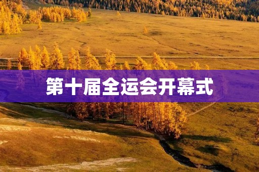 第十届全运会开幕式:璀璨夺目的体育盛宴 第十届全运会开幕式:璀璨夺目的体育盛宴