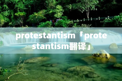 protestanti**「protestanti**翻译」