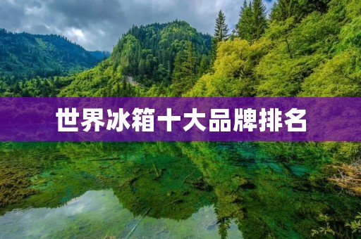 世界冰箱十大品牌排名:探索高品质冷藏解决方案 世界冰箱十大品牌排名:探索高品质冷藏解决方案