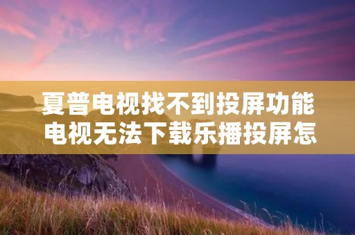 夏普电视找不到投屏功能 电视无法下载乐播投屏怎么办 夏普电视找不到投屏功能 电视无法下载乐播投屏怎么办