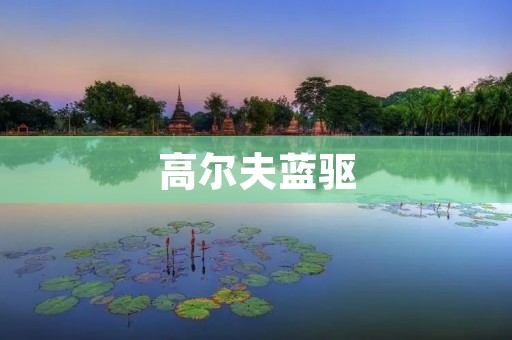 高尔夫蓝驱:革命性的汽车动力系统 高尔夫蓝驱:革命性的汽车动力系统