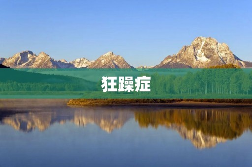 狂躁症:了解这种精神障碍的特征和症状