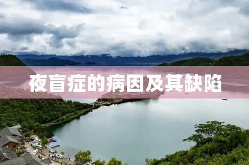 夜盲症的病因及其缺陷