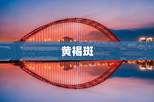 黄褐斑:了解它的样貌与特征