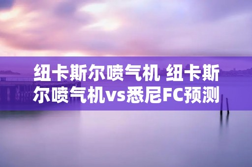 纽卡斯尔喷气机 纽卡斯尔喷气机vs悉尼FC预测 纽卡斯尔喷气机 纽卡斯尔喷气机vs悉尼FC预测