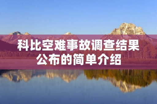 科比空难事故调查结果公布的简单介绍