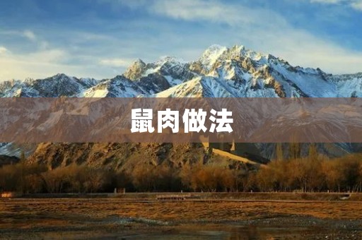 鼠肉做法:美味佳肴的制作秘籍 鼠肉做法:美味佳肴的制作秘籍