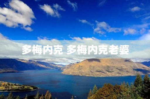 多梅内克 多梅内克老婆 多梅内克 多梅内克老婆